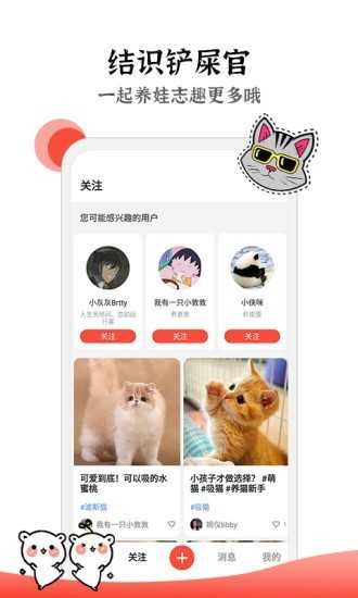 猫猫社区最新版图1