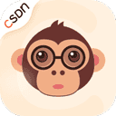 CSDN最新免费版 v6.3.9