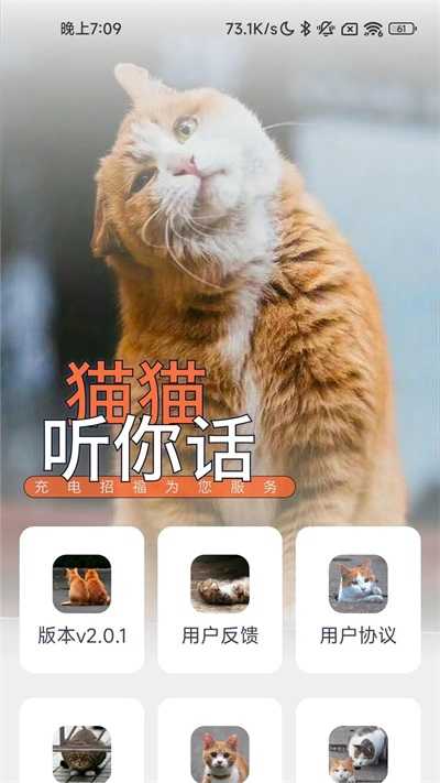 充电招福app
