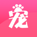宠夫子安卓版