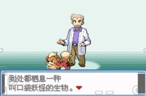 口袋妖怪永恒之焱最新版图2