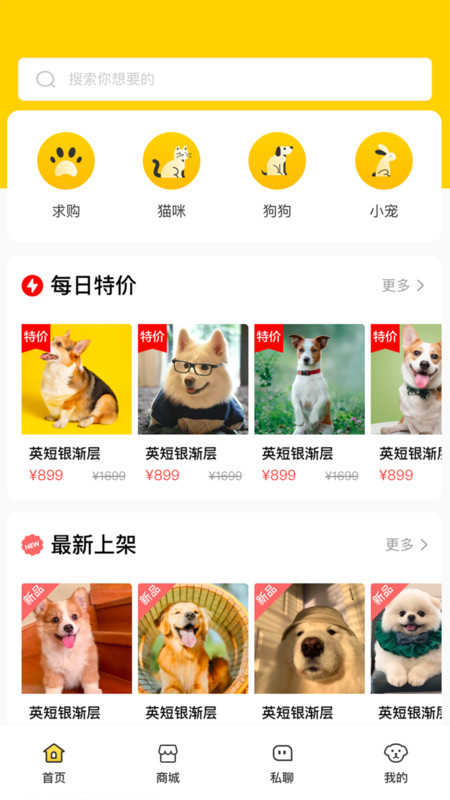 闲小宠(2)