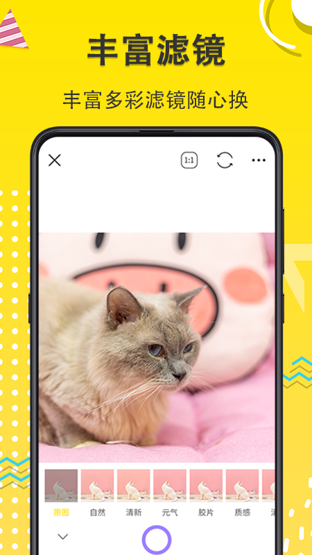 宠物相机通用版图2