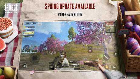 地铁逃生正版(BETA PUBG MOBILE)(1)