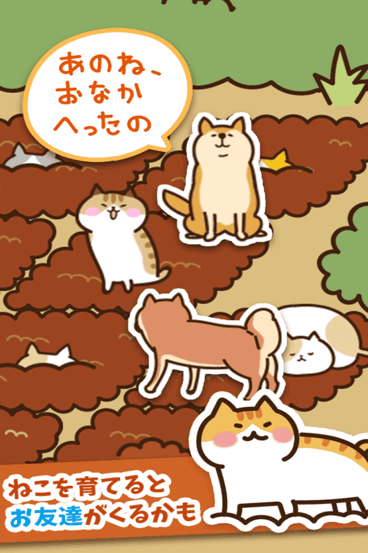 猫咪田园图6
