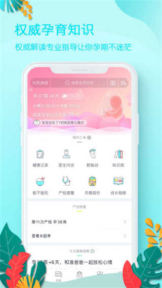 好孕妈直装版(1)