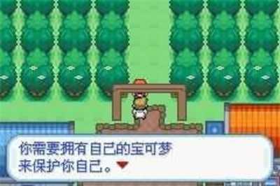 口袋妖怪梦的光点安卓免费版图2