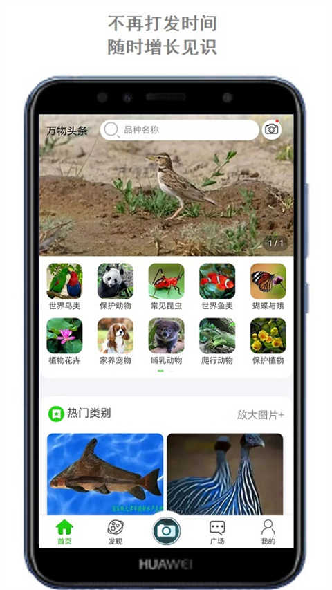 万物识别