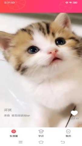 甜柚视频手机最新版图3