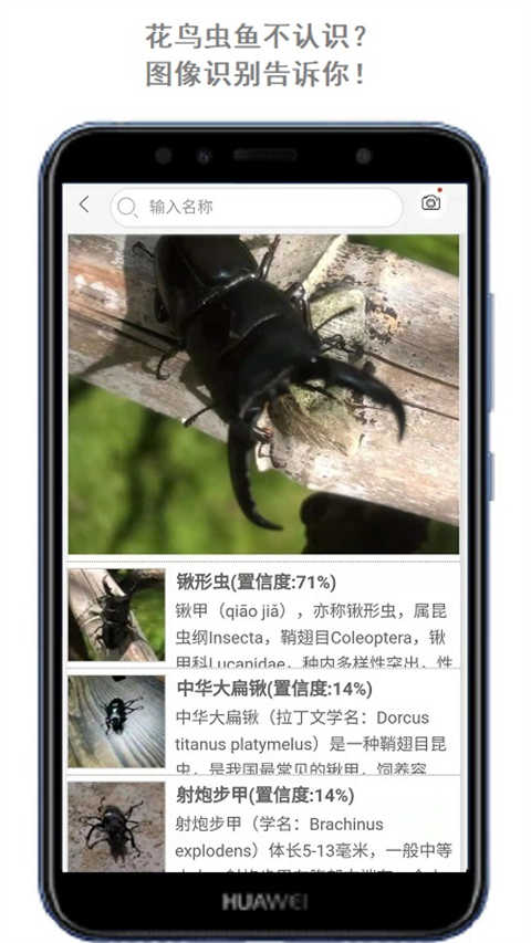 万物识别