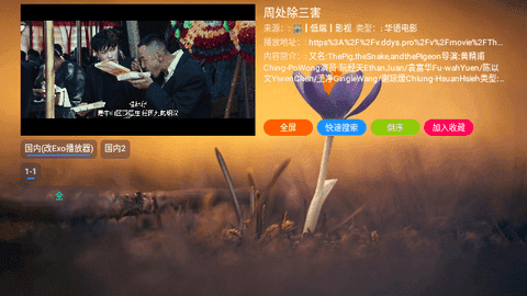 高清TV电视版图9