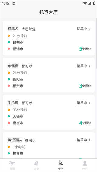 宠贝贝宠物托运无广告版图1