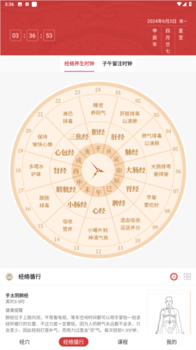 人体穴位图解免费版