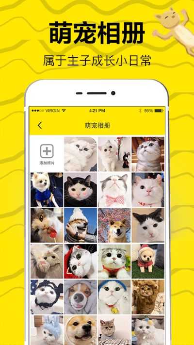 猫语交流翻译器通用版图4