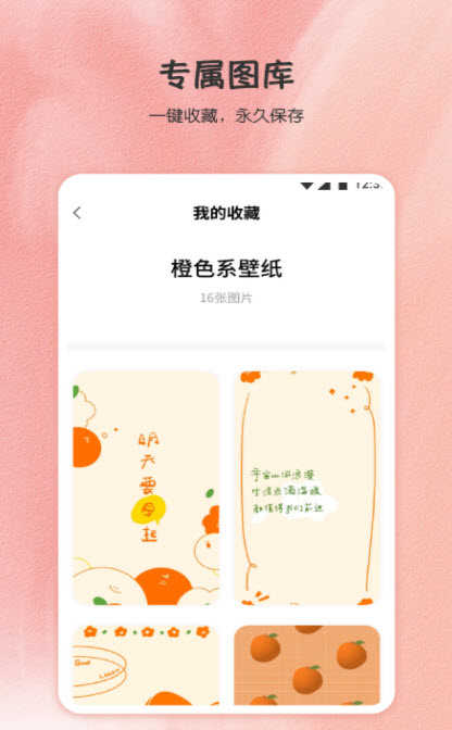 小王壁纸库