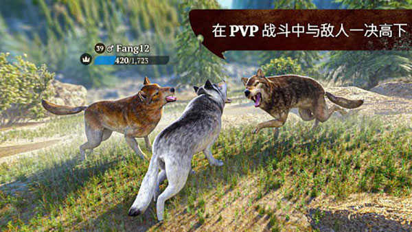 狼族(The Wolf)图5