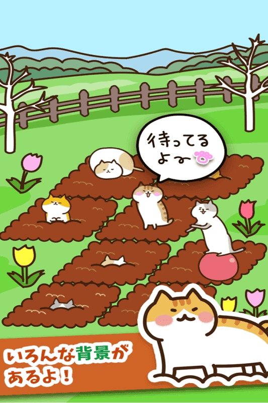 猫咪田园图4