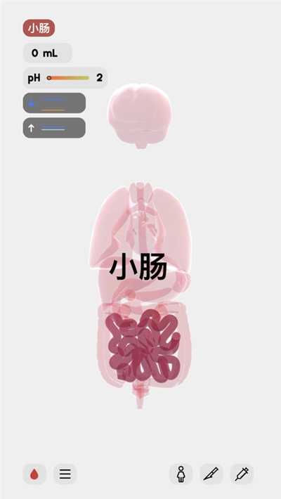 生命人体模拟器手游免费版