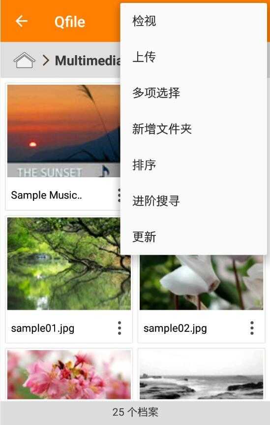 QfilePro