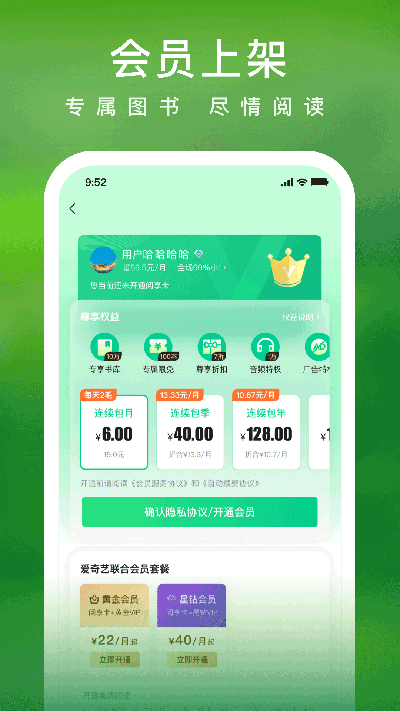 爱奇艺小说直装版图3