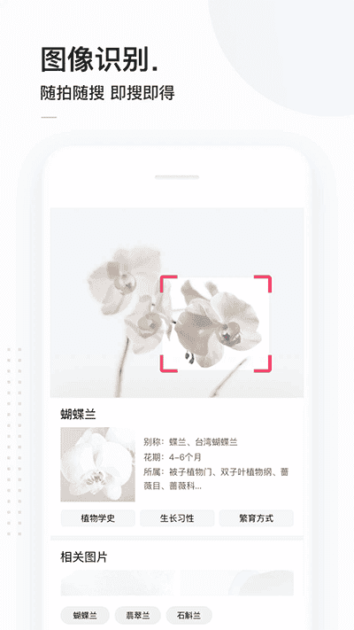 简单搜索app免费版图2