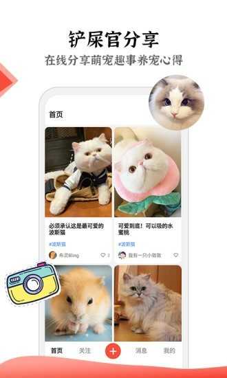猫猫社区最新版图2