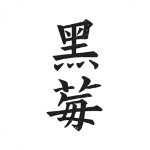 黑莓小说换源版