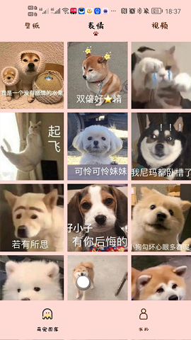 汉克狗无广告版