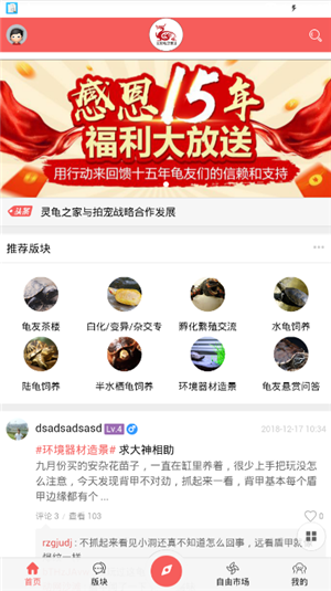 灵龟之家(4)