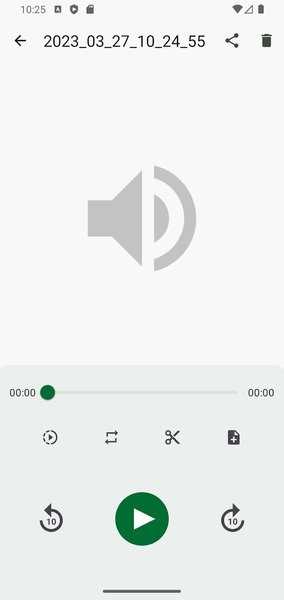 ASRVoiceRecorder高级专业版