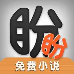 盼盼小说直装版