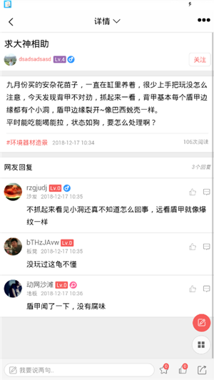 灵龟之家(3)