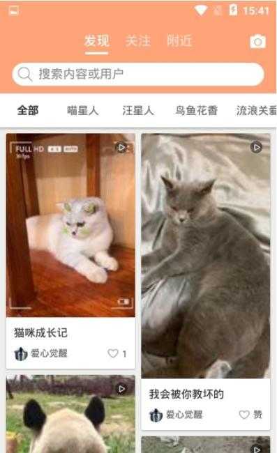 迷宠圈(2)