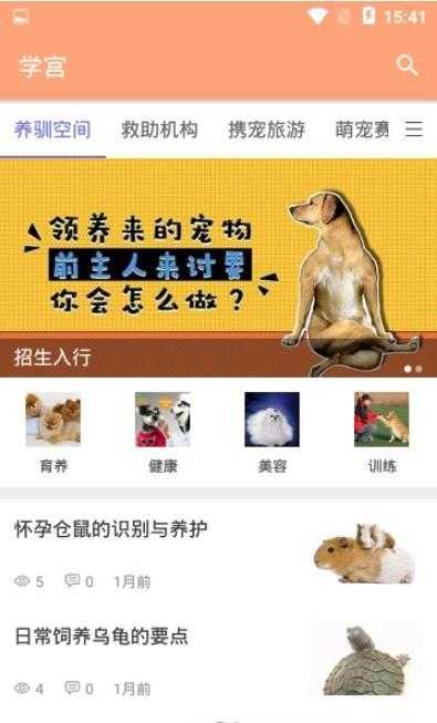 迷宠圈(4)