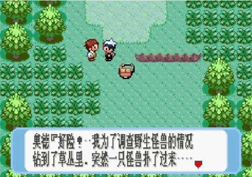 口袋妖怪红宝石官方正版4