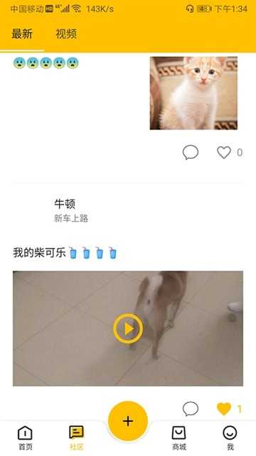 宠窝正版