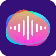 声音处理器官方正版