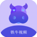 铁牛影视免费原版
