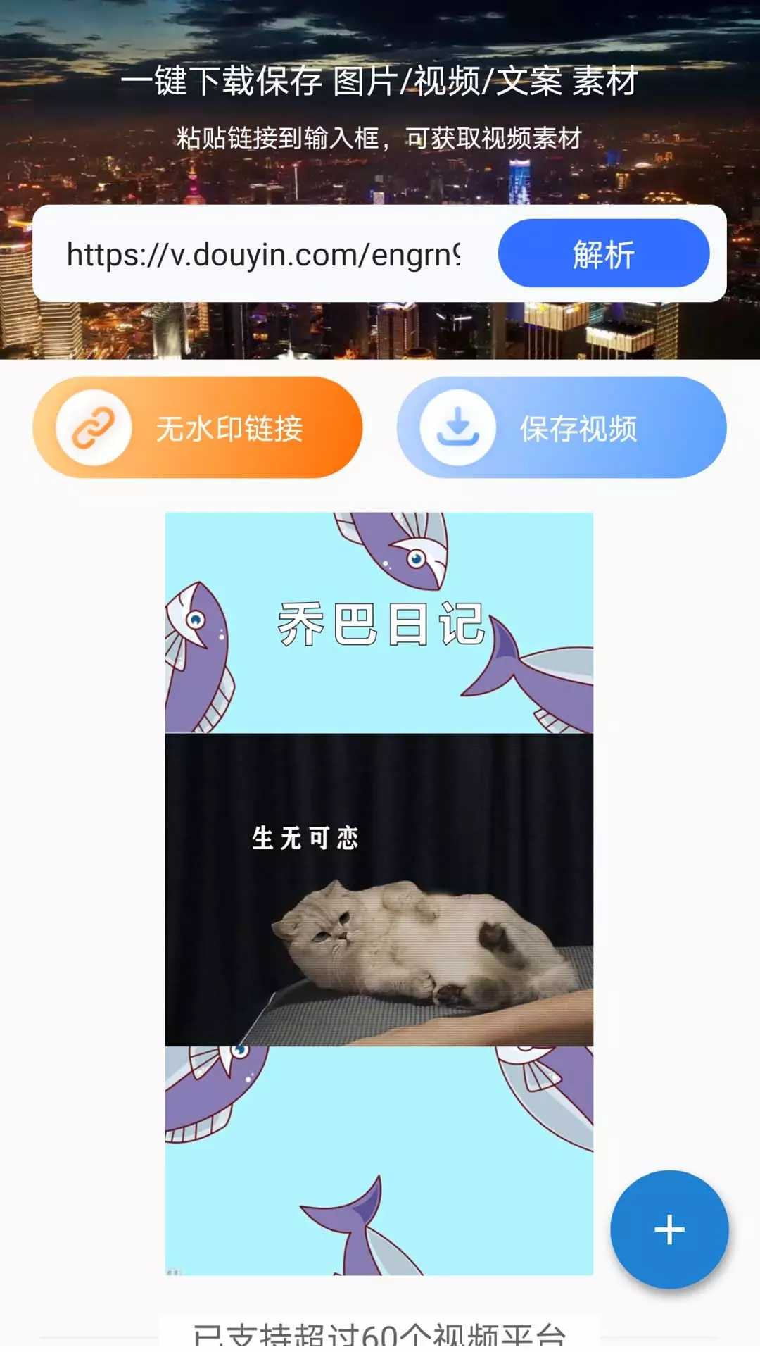 松鼠去水印(3)