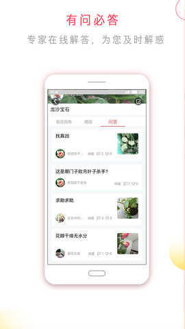 花信一对一聊天手机免费版(4)