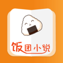 饭团小说正版 V6.3.1