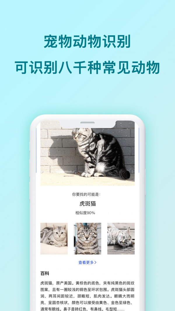 动物识别原版