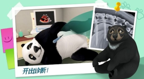 小熊的动物诊所安卓官方版2