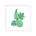 青瓜追书通用版 V1.0.1