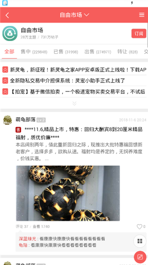 灵龟之家(2)
