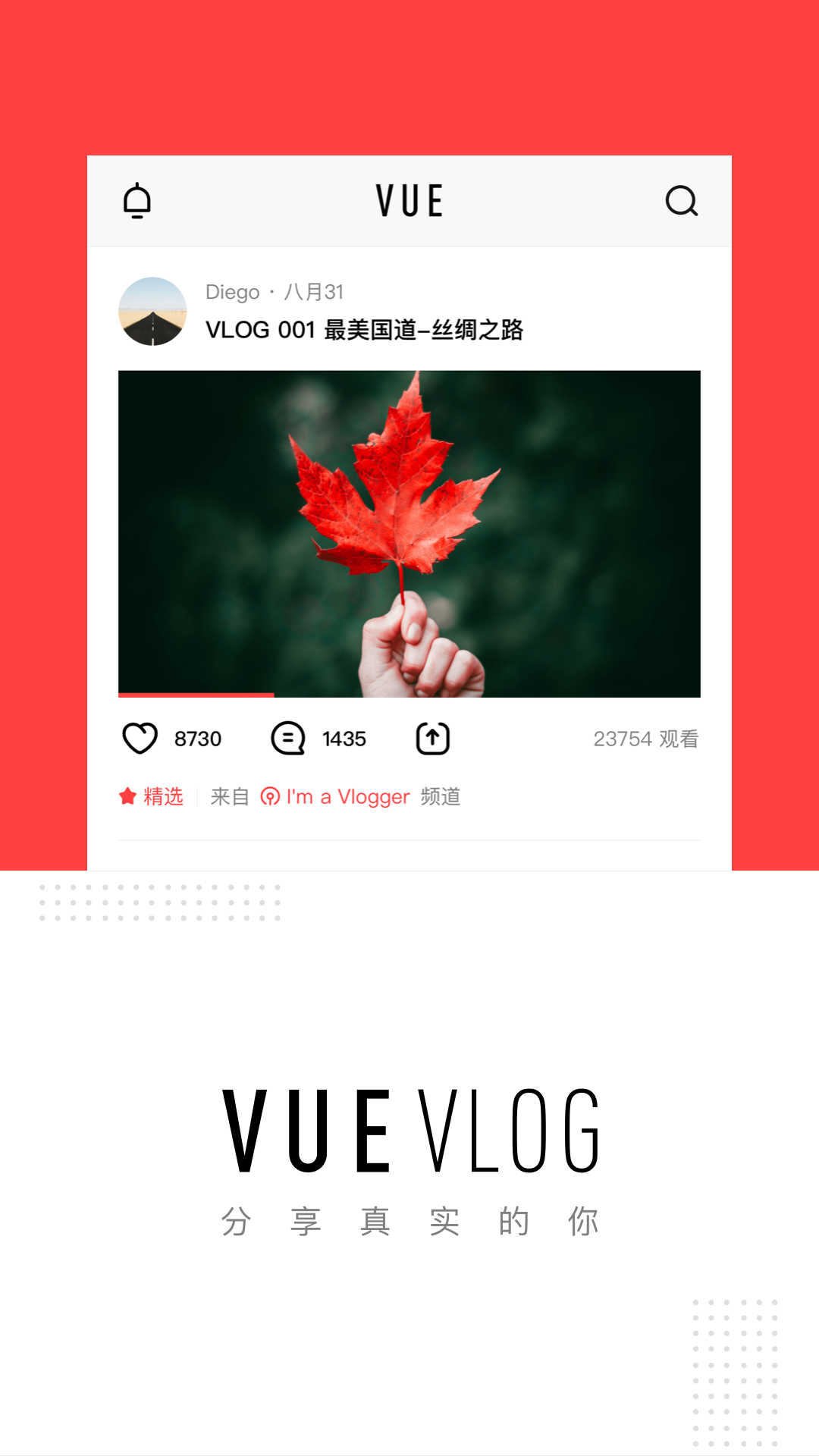 vuevlog原版图3