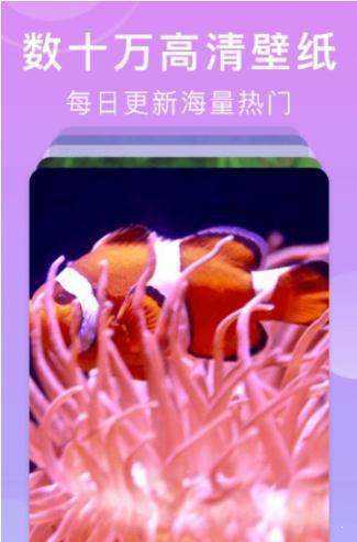 壁纸全能王原版