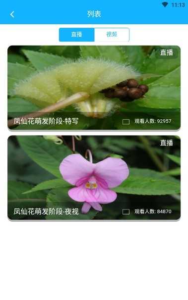 科米探索官方版