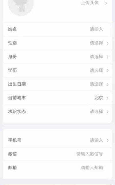 大技狮直装版