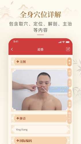 人体穴位图解可离线版